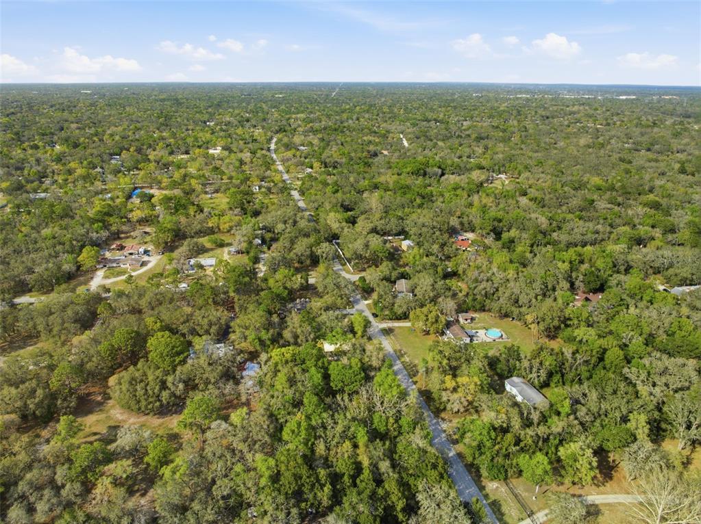 14582 Boland Avenue Spring Hill, FL 34610 - Photo 73 of 74 an aerial view of residential houses with outdoor space and trees