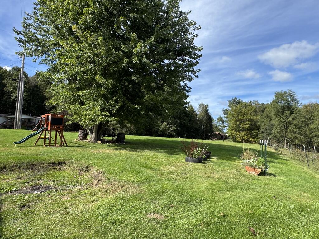 547 Smokey Br Road Danese, WV 25831 - Photo 25 of 31 Gallery Image 25