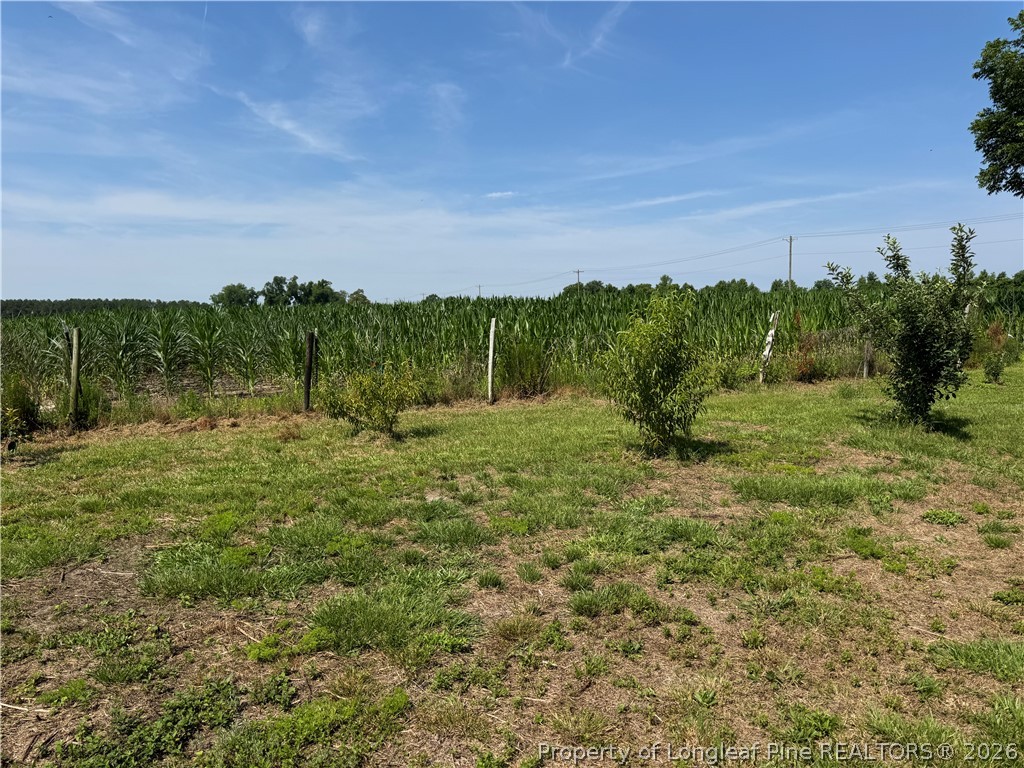 2737 Ward Store Road Fairmont, NC 28340 - Photo 41 of 48