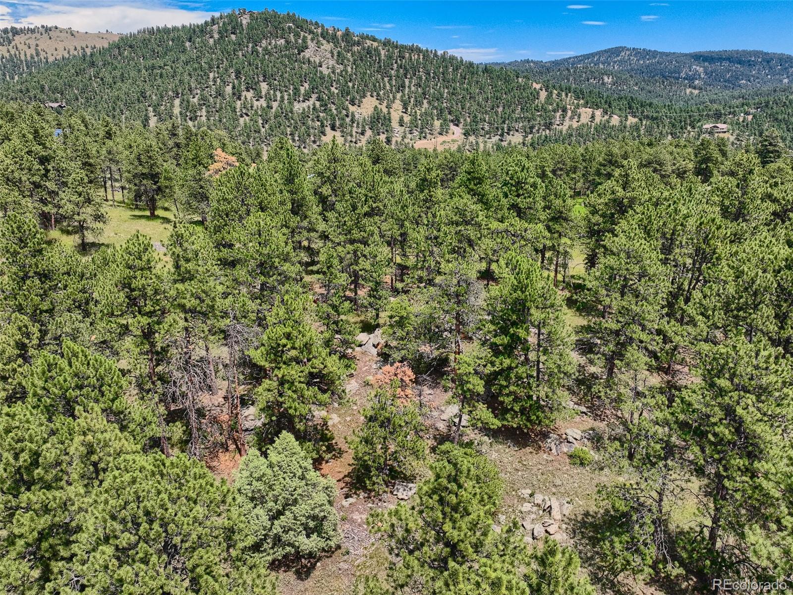 2117 Wieler Road Evergreen, CO 80439 - Photo 10 of 40 Gallery Image 10
