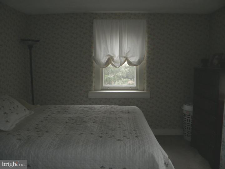 377 Morwood Road Telford, PA 18969 - Photo 10 of 20 Master Bedroom