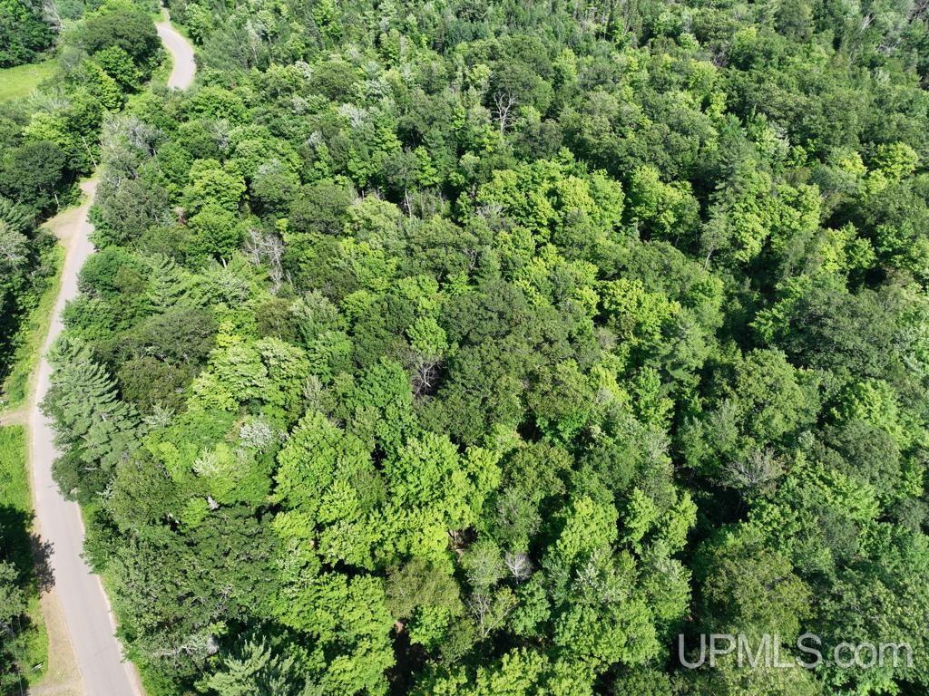 0 Gold Mine Lake Road Ishpeming, MI 49849 - Photo 10 of 19