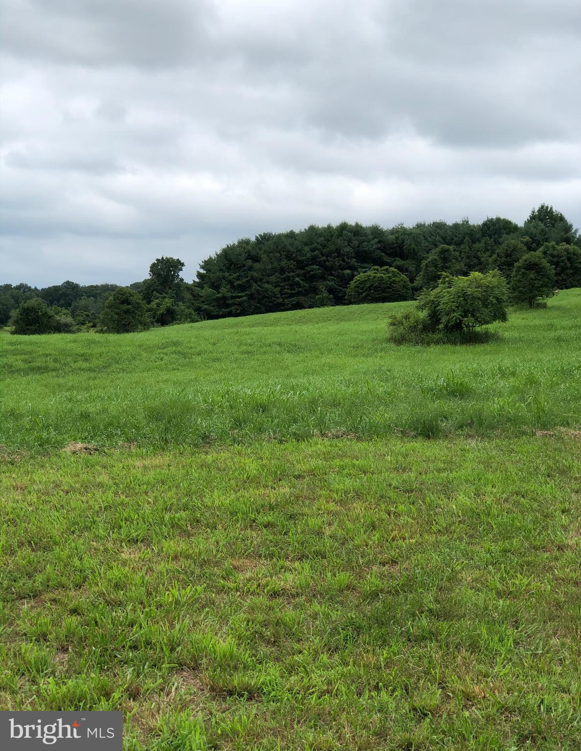 Woodtrail Road Round Hill, VA 20141 - Photo 14 of 22