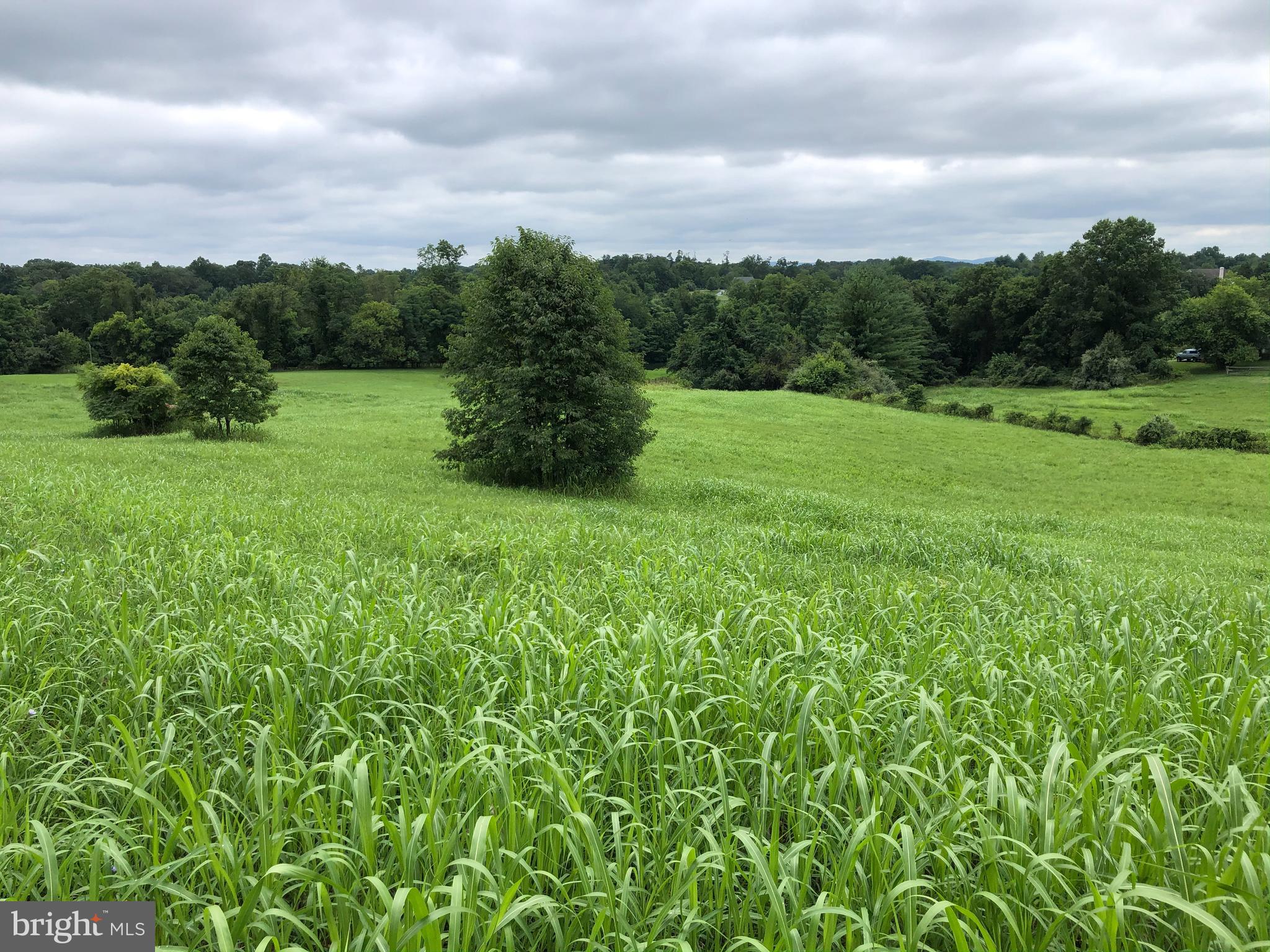 Woodtrail Road Round Hill, VA 20141 - Photo 22 of 22
