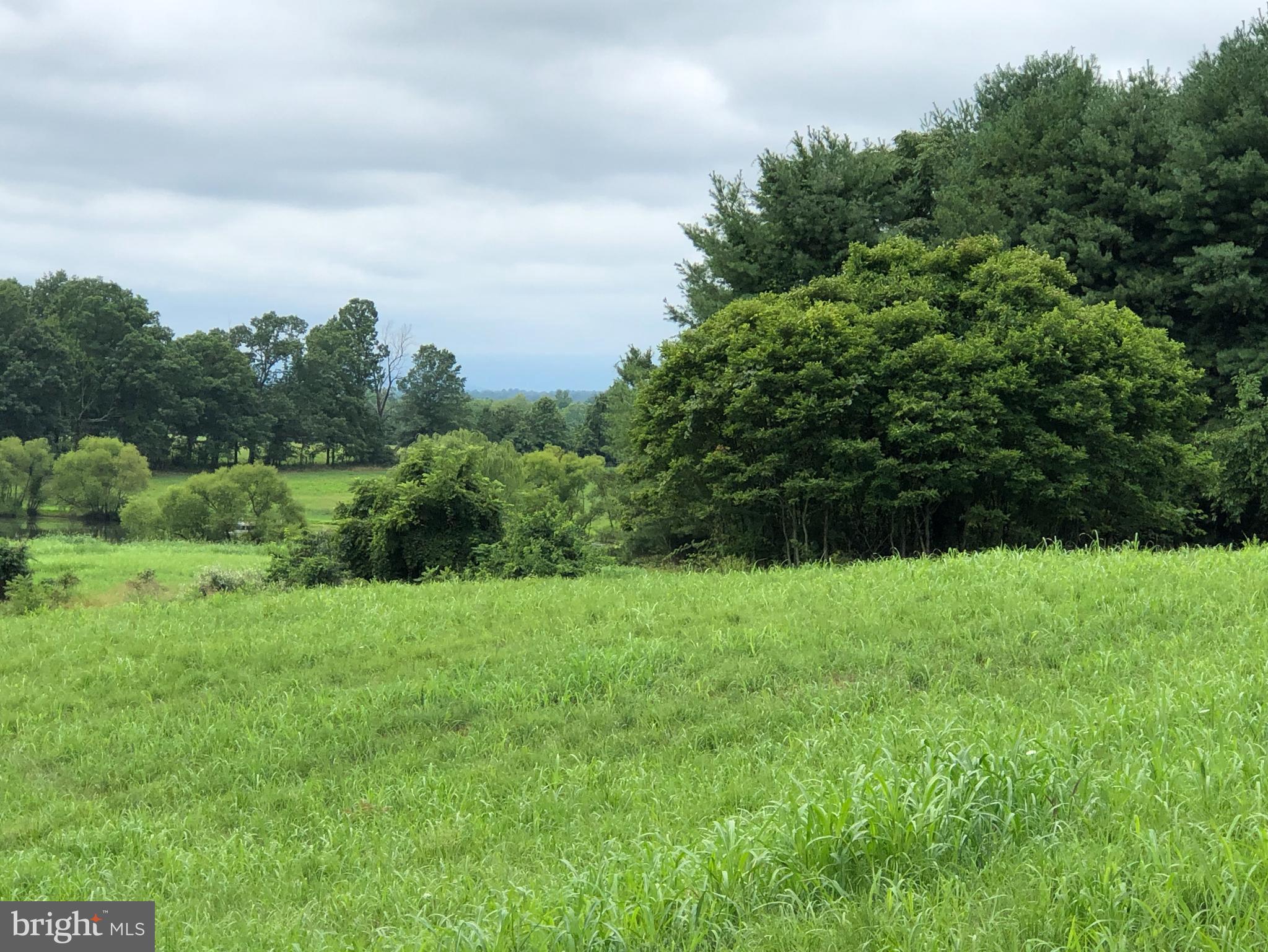 Woodtrail Road Round Hill, VA 20141 - Photo 4 of 22