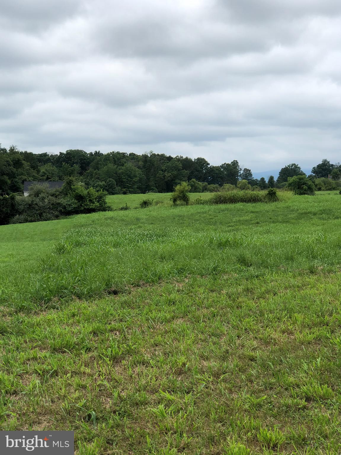 Woodtrail Road Round Hill, VA 20141 - Photo 5 of 22