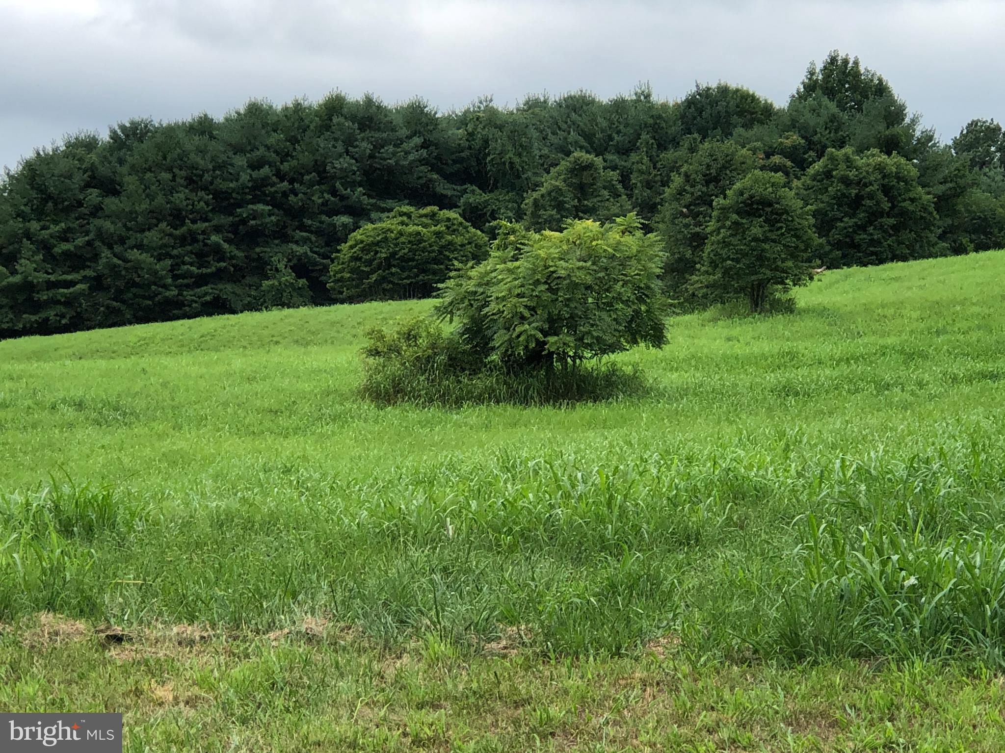 Woodtrail Road Round Hill, VA 20141 - Photo 8 of 22