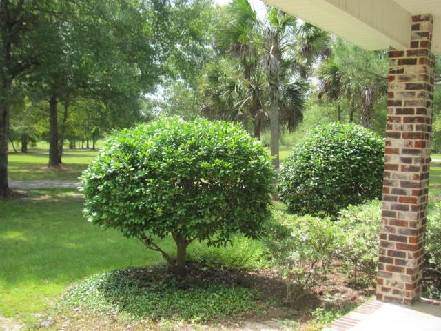 575 Forrest Oak Road DeFuniak Springs, FL 32435 - Photo 16 of 27 Gallery Image 16