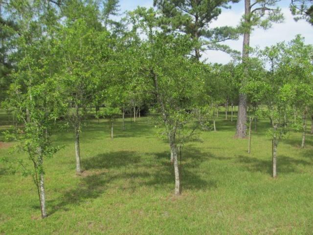 575 Forrest Oak Road DeFuniak Springs, FL 32435 - Photo 18 of 27 Gallery Image 18