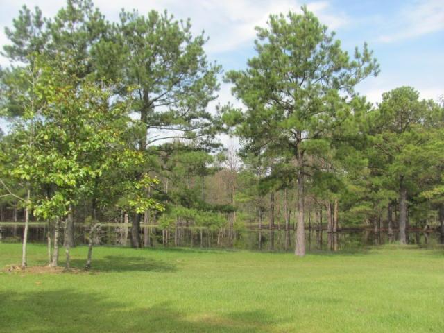 575 Forrest Oak Road DeFuniak Springs, FL 32435 - Photo 19 of 27 Gallery Image 19