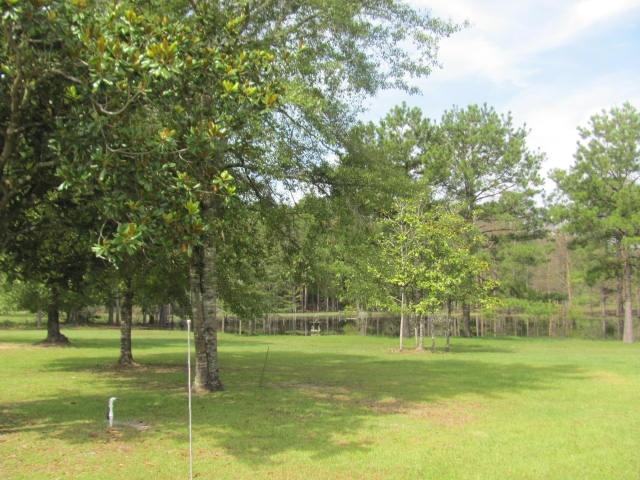 575 Forrest Oak Road DeFuniak Springs, FL 32435 - Photo 22 of 27 Gallery Image 22