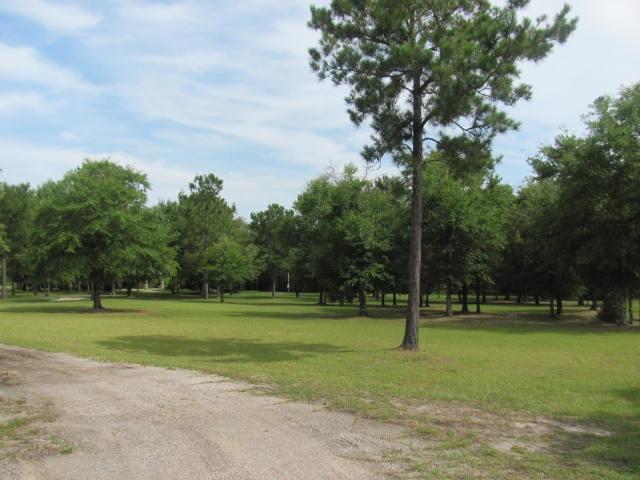 575 Forrest Oak Road DeFuniak Springs, FL 32435 - Photo 25 of 27 Gallery Image 25