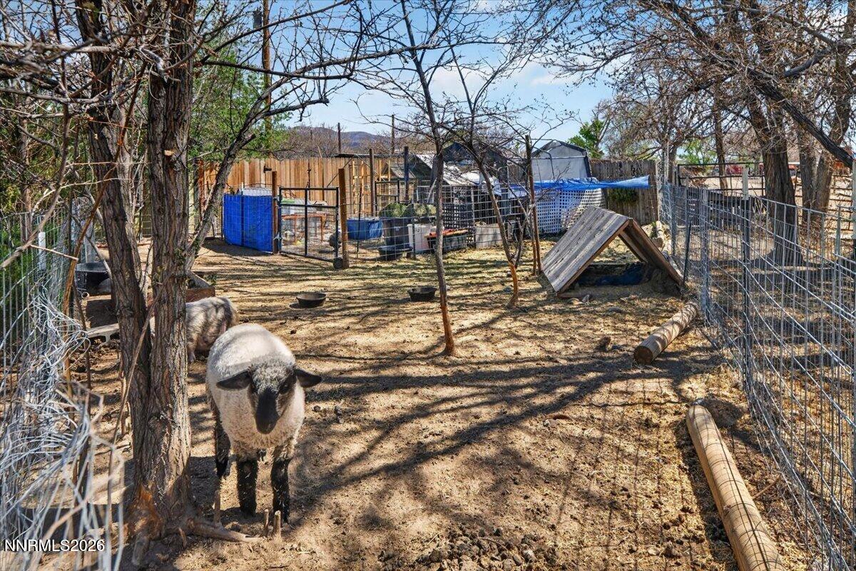 270 Vine Street Fernley, NV 89408 - Photo 11 of 28 a view of outdoor space yard and patio
