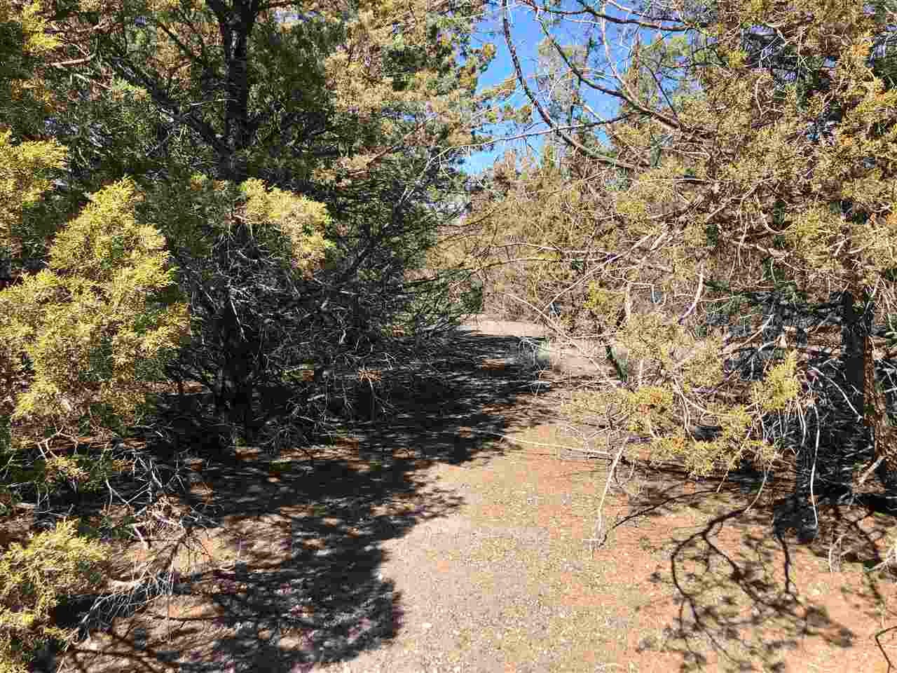 9 Trail End Road Montague, CA 96064 - Photo 7 of 11 Gallery Image 7