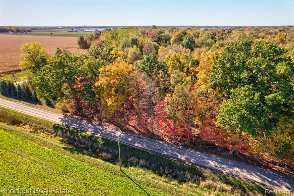 4000 South Reese Road Frankenmuth, MI 48734 - Photo 6 of 18