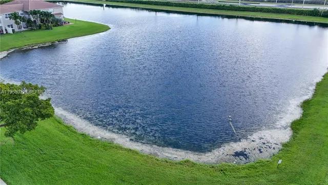 a view of a lake with a large trees