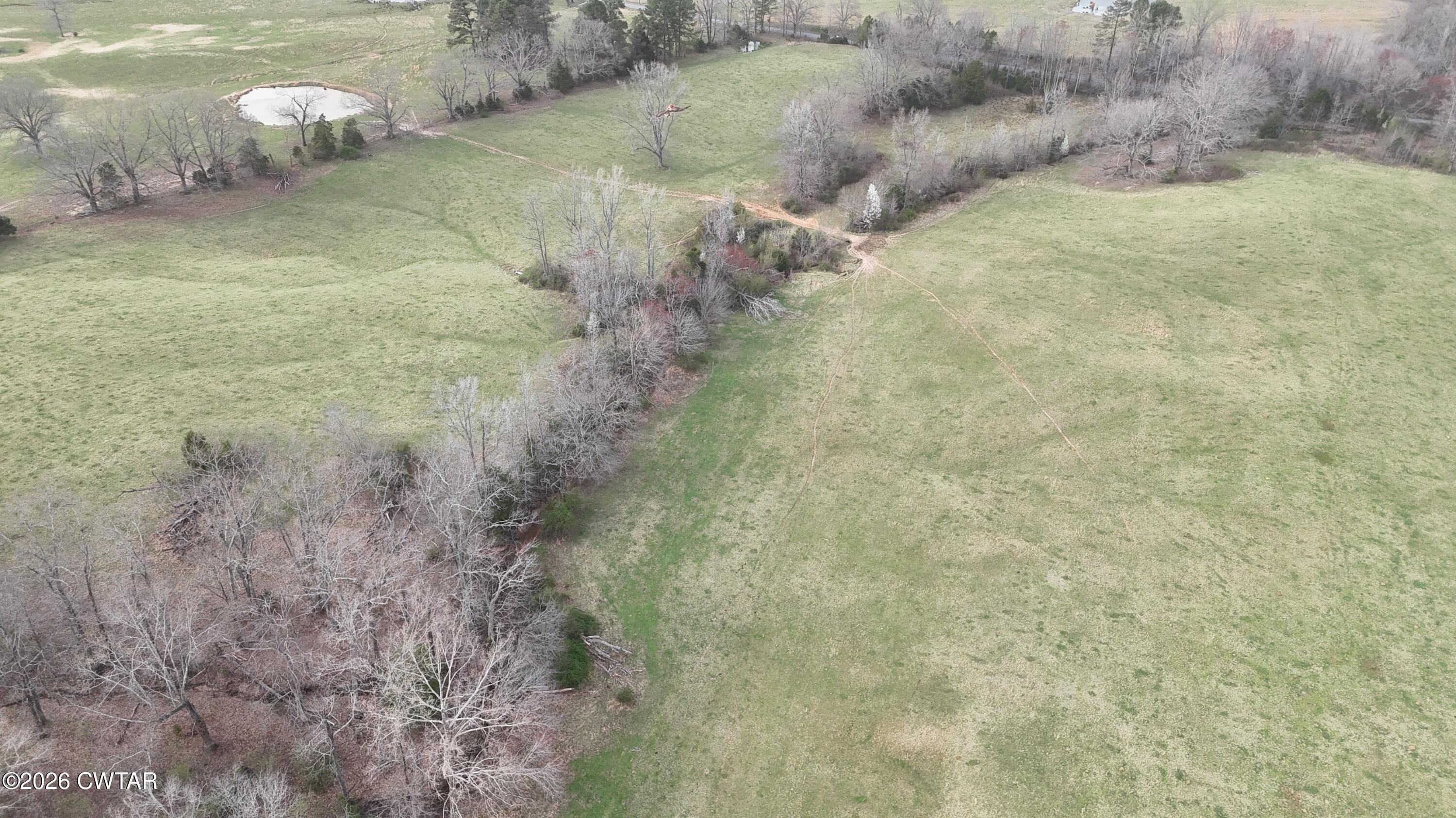 3 Brazil Bottom Road Lexington, TN 38351 - Photo 9 of 10 a view of a dry yard