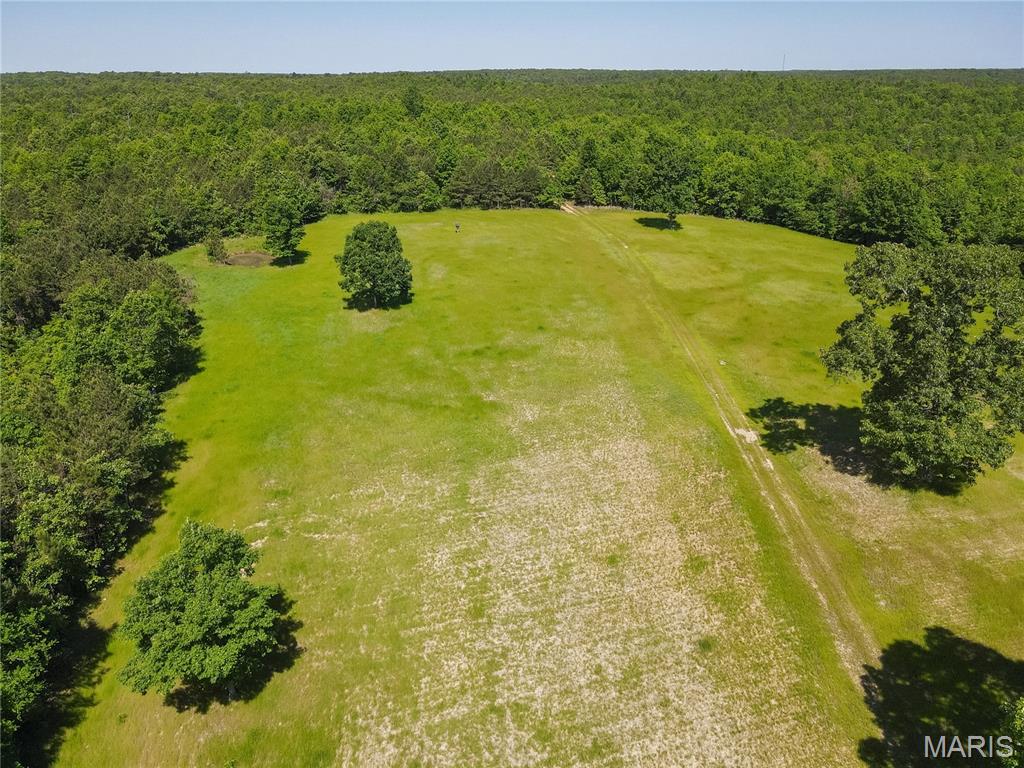 1743 Ripley Route North Doniphan, MO 63935 - Photo 55 of 97