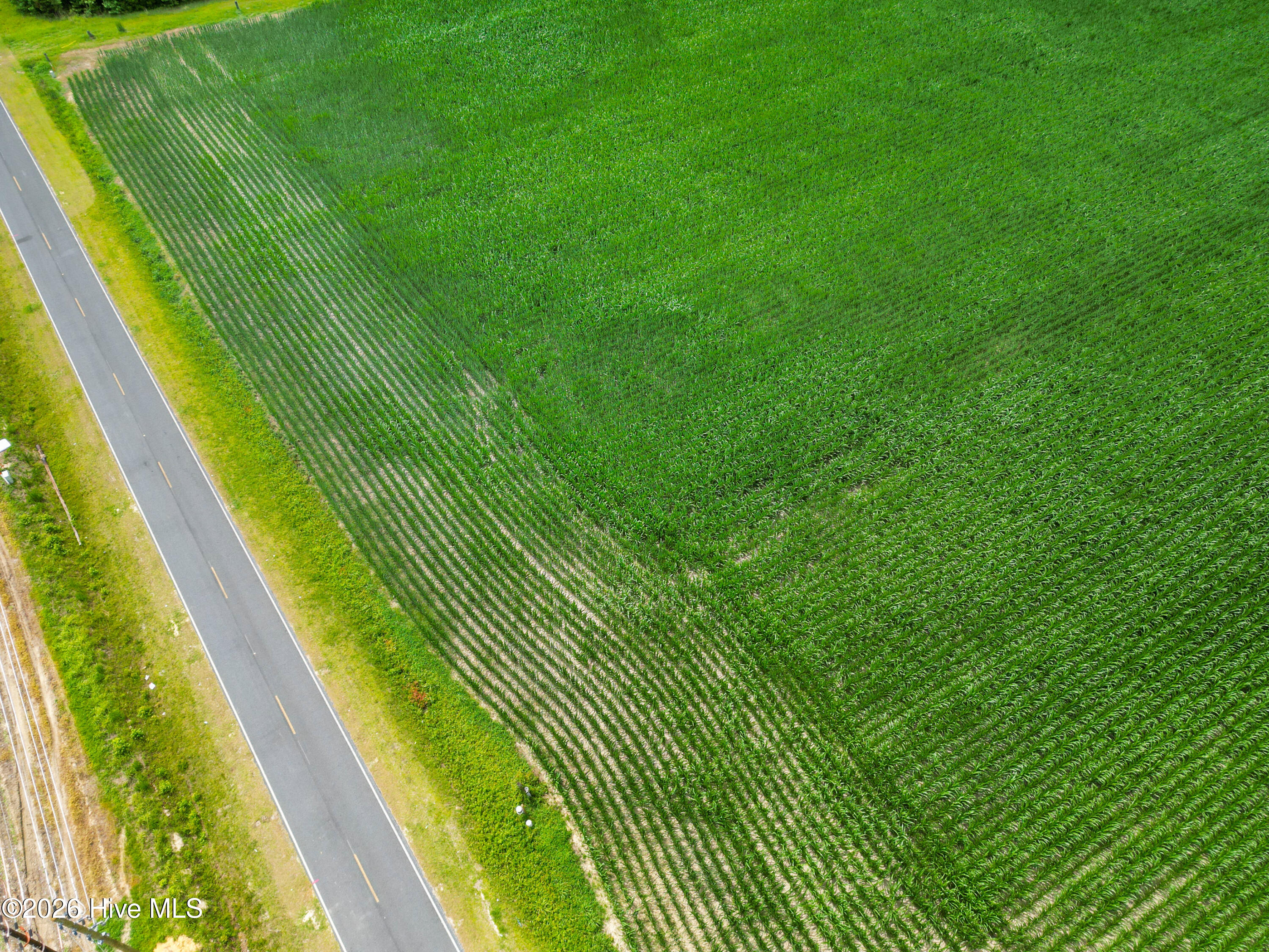 Tbd Farmers Union Road Clarkton, NC 28433 - Photo 13 of 13