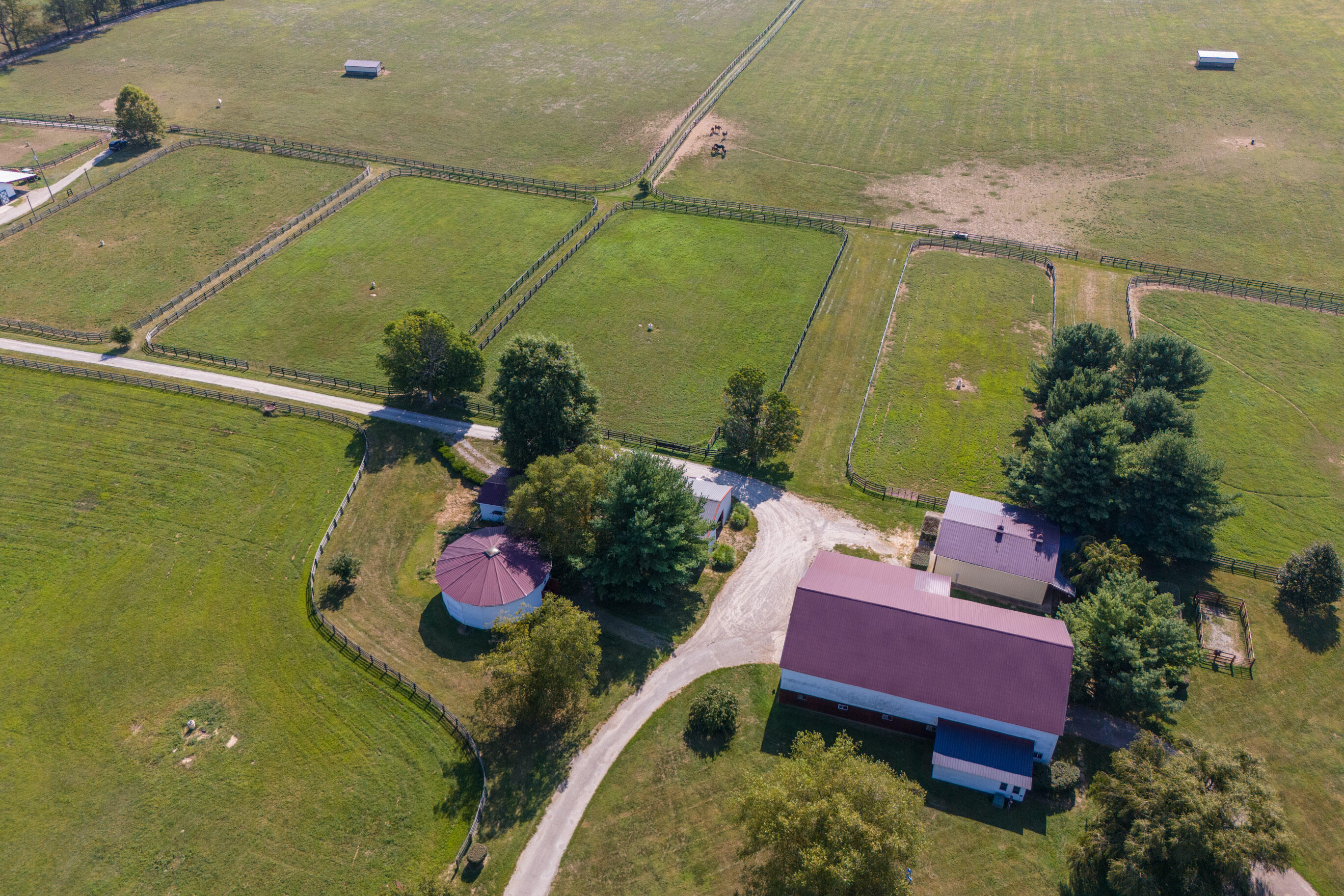 307 Stone Road Georgetown, KY 40324 - Photo 21 of 115 20240827-307-Stone-Rd-drone-tem-022_web