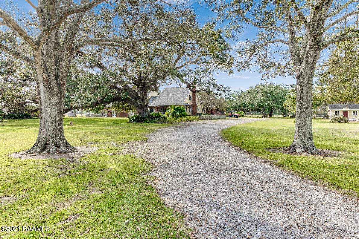 603 Howard Venable Road Church Point, LA 70525 - Photo 3 of 46