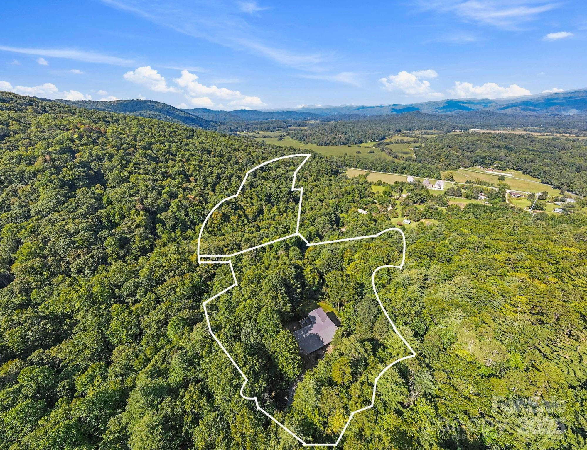 658 Johnson Road Brevard, NC 28712 - Photo 11 of 48