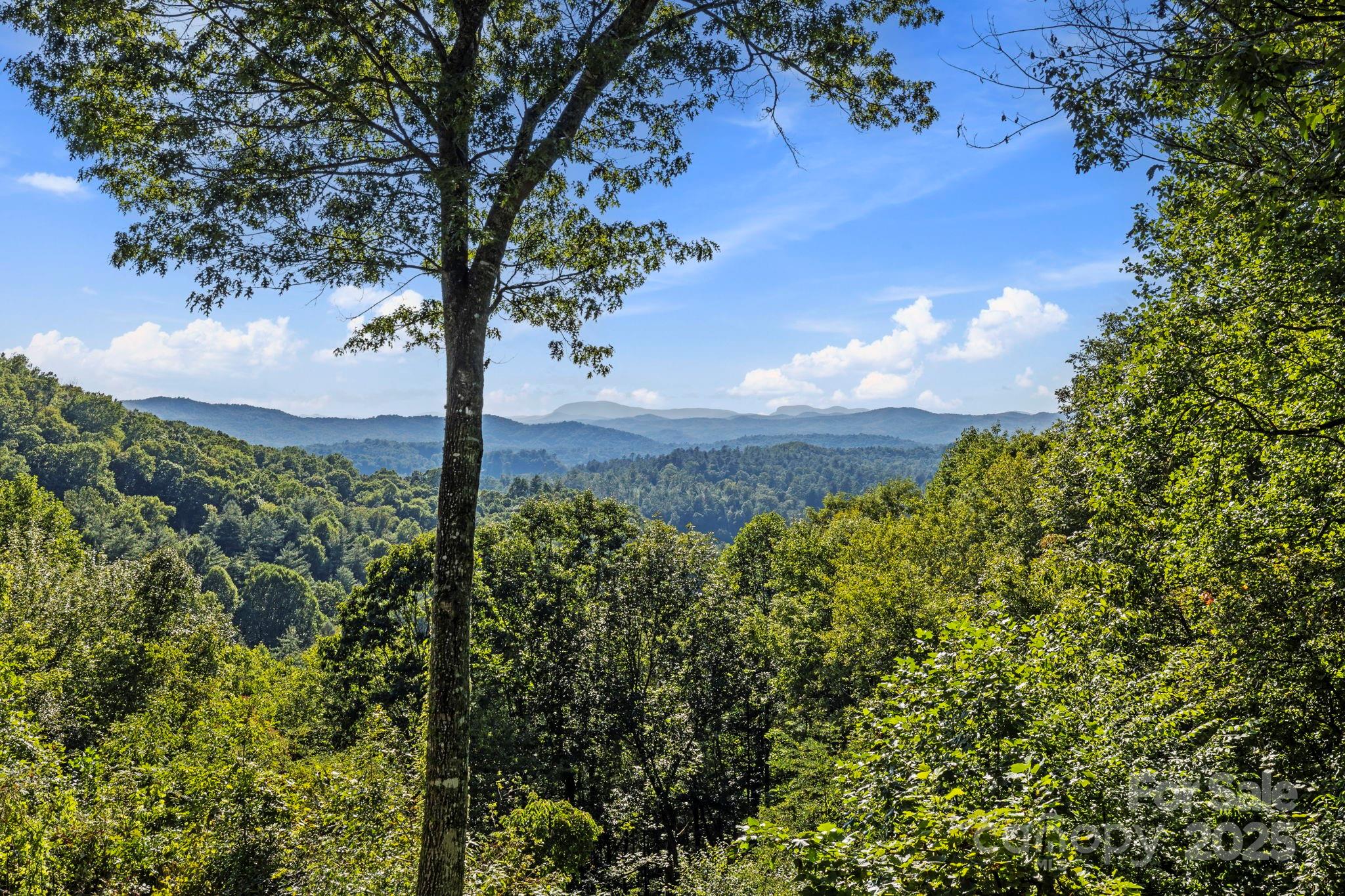 658 Johnson Road Brevard, NC 28712 - Photo 13 of 48 a view of a tree with a yard