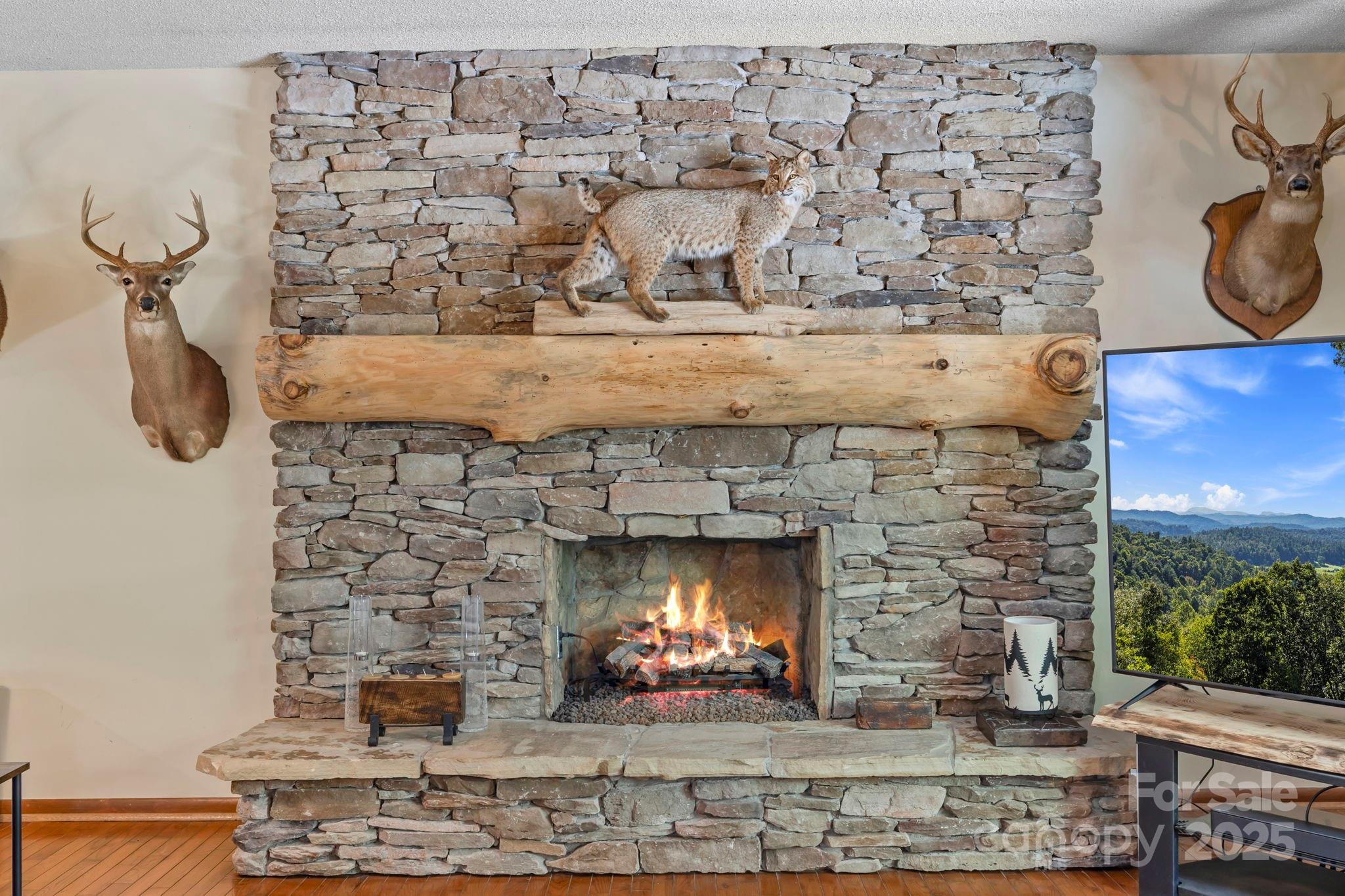 658 Johnson Road Brevard, NC 28712 - Photo 15 of 48 a fireplace with a vase on top of it