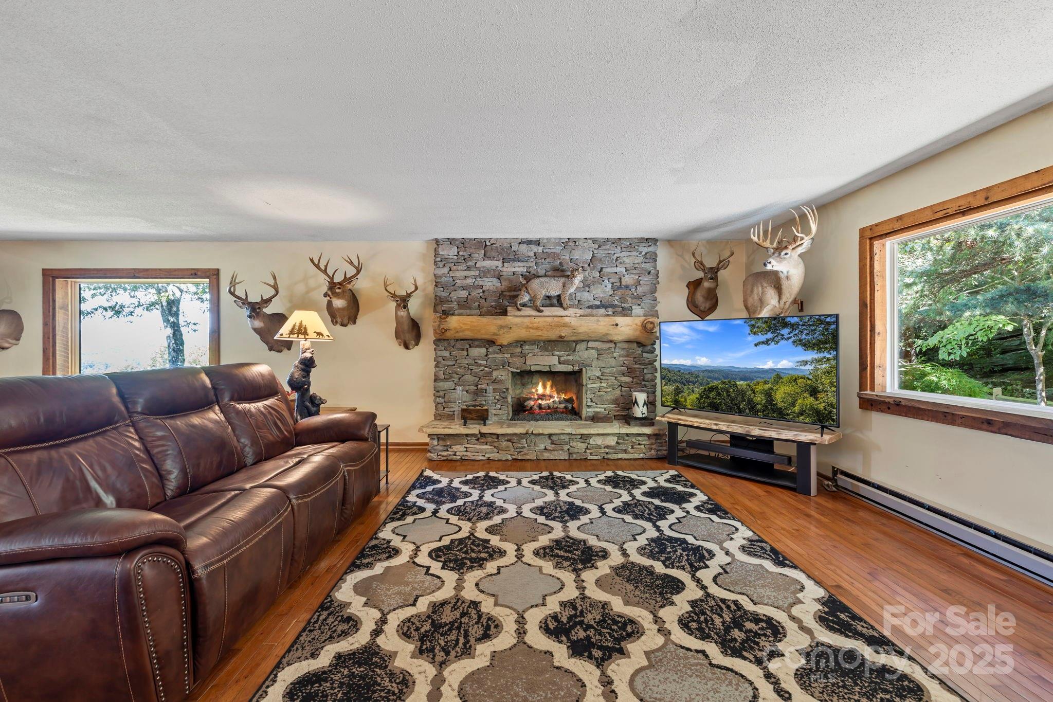658 Johnson Road Brevard, NC 28712 - Photo 16 of 48 a living room with furniture a flat screen tv and a fireplace