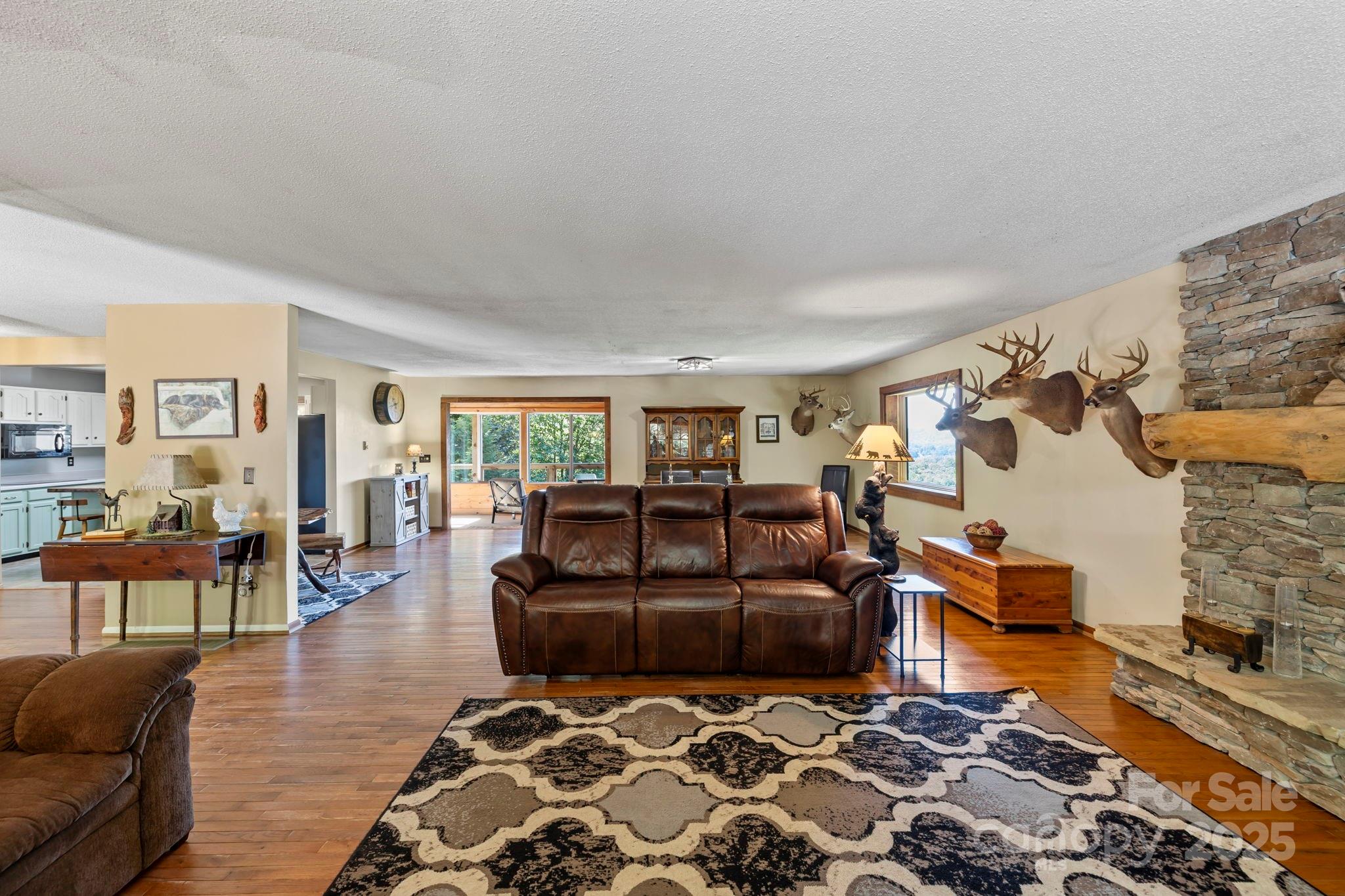 658 Johnson Road Brevard, NC 28712 - Photo 17 of 48 a living room with furniture and a rug