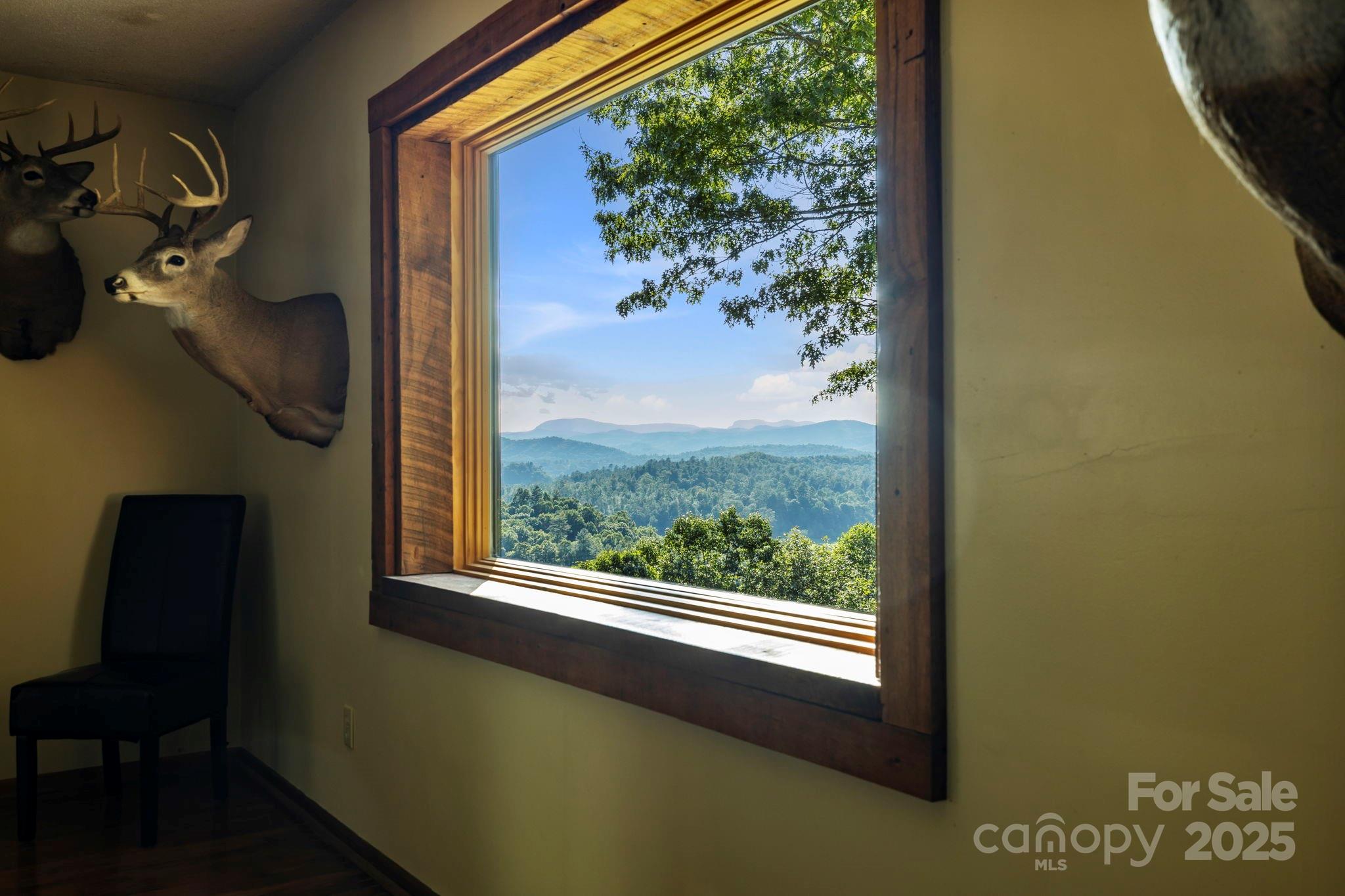 658 Johnson Road Brevard, NC 28712 - Photo 19 of 48 a view of a window in a room