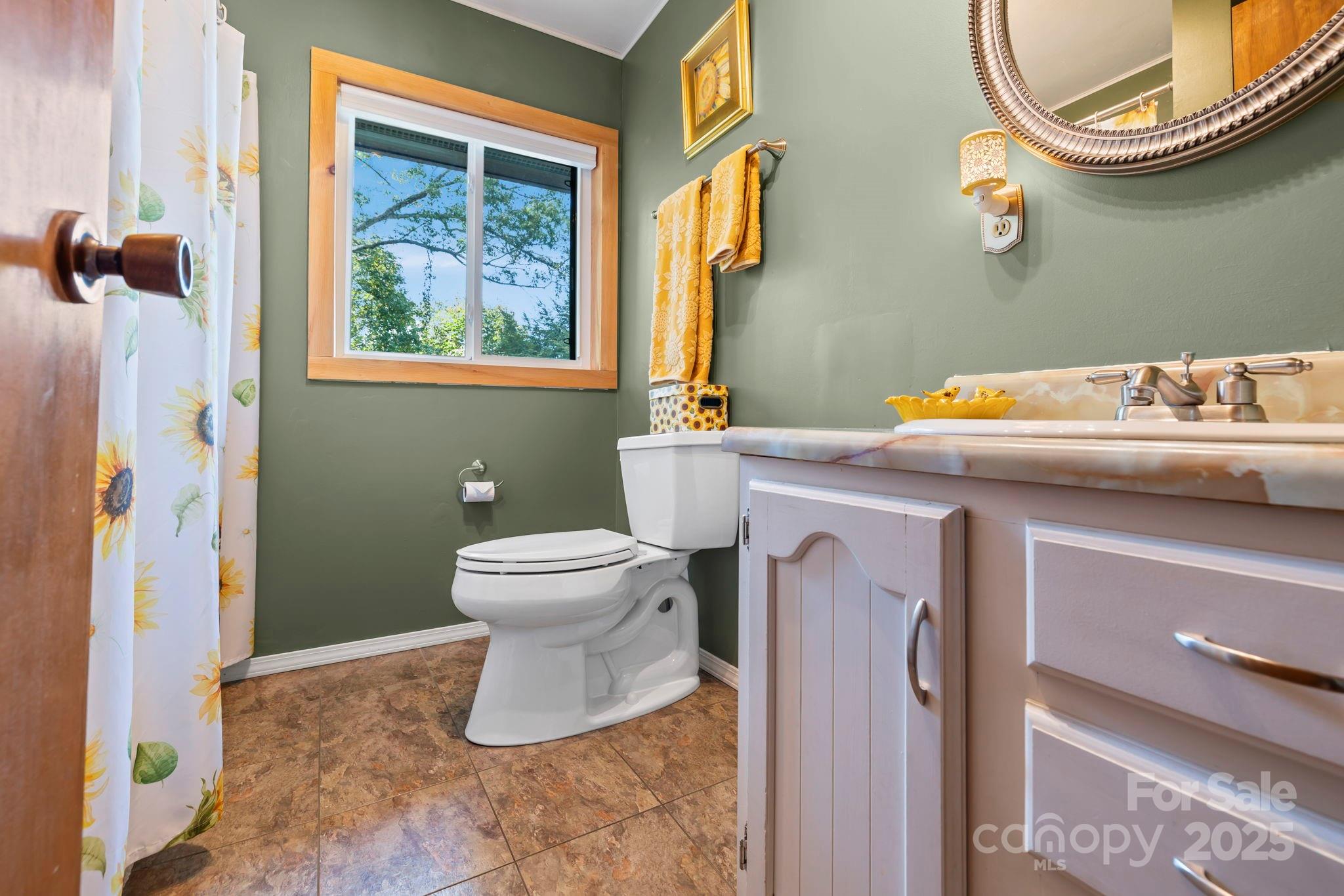 658 Johnson Road Brevard, NC 28712 - Photo 28 of 48 a bathroom with a sink a toilet and a mirror