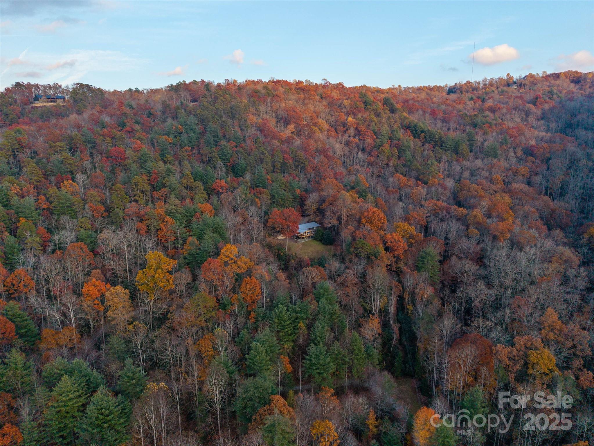 658 Johnson Road Brevard, NC 28712 - Photo 46 of 48