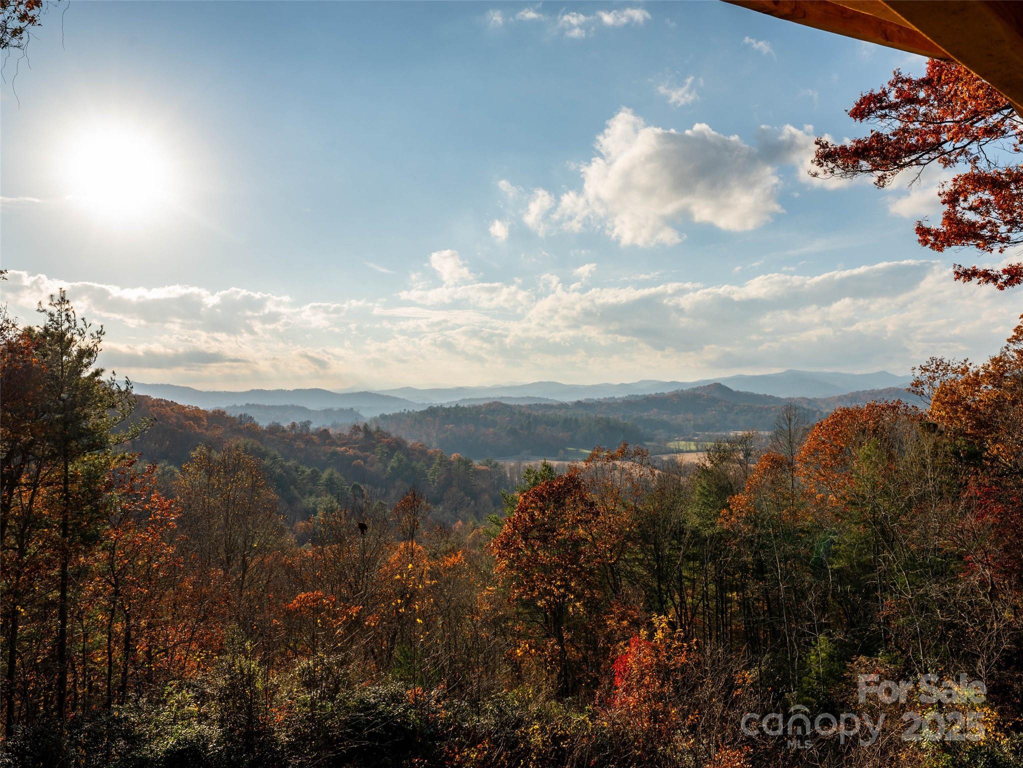 658 Johnson Road Brevard, NC 28712 - Photo 47 of 48 a view of a lot of trees in all around