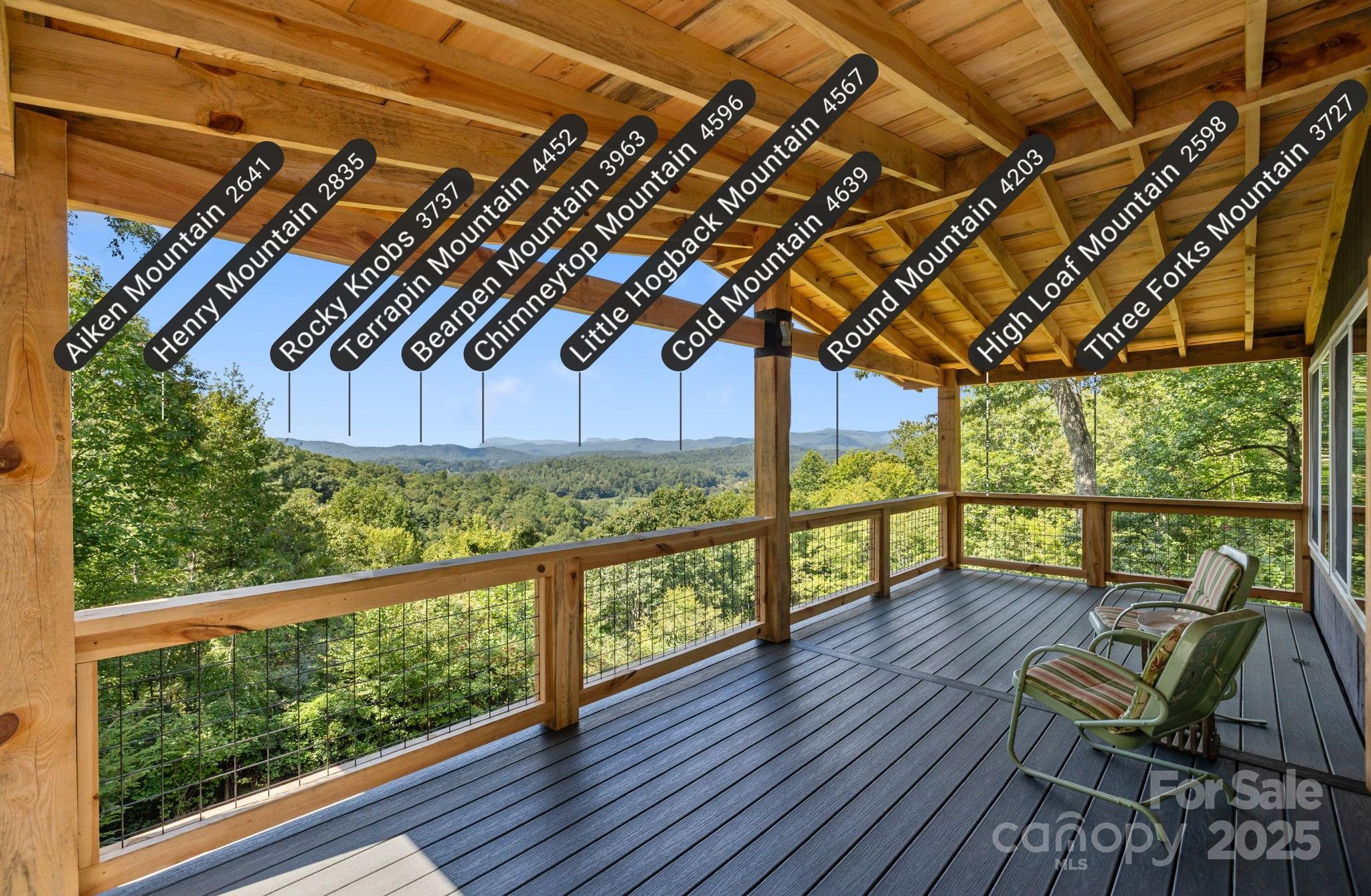 658 Johnson Road Brevard, NC 28712 - Photo 8 of 48 a view of porch with black and wooden floor