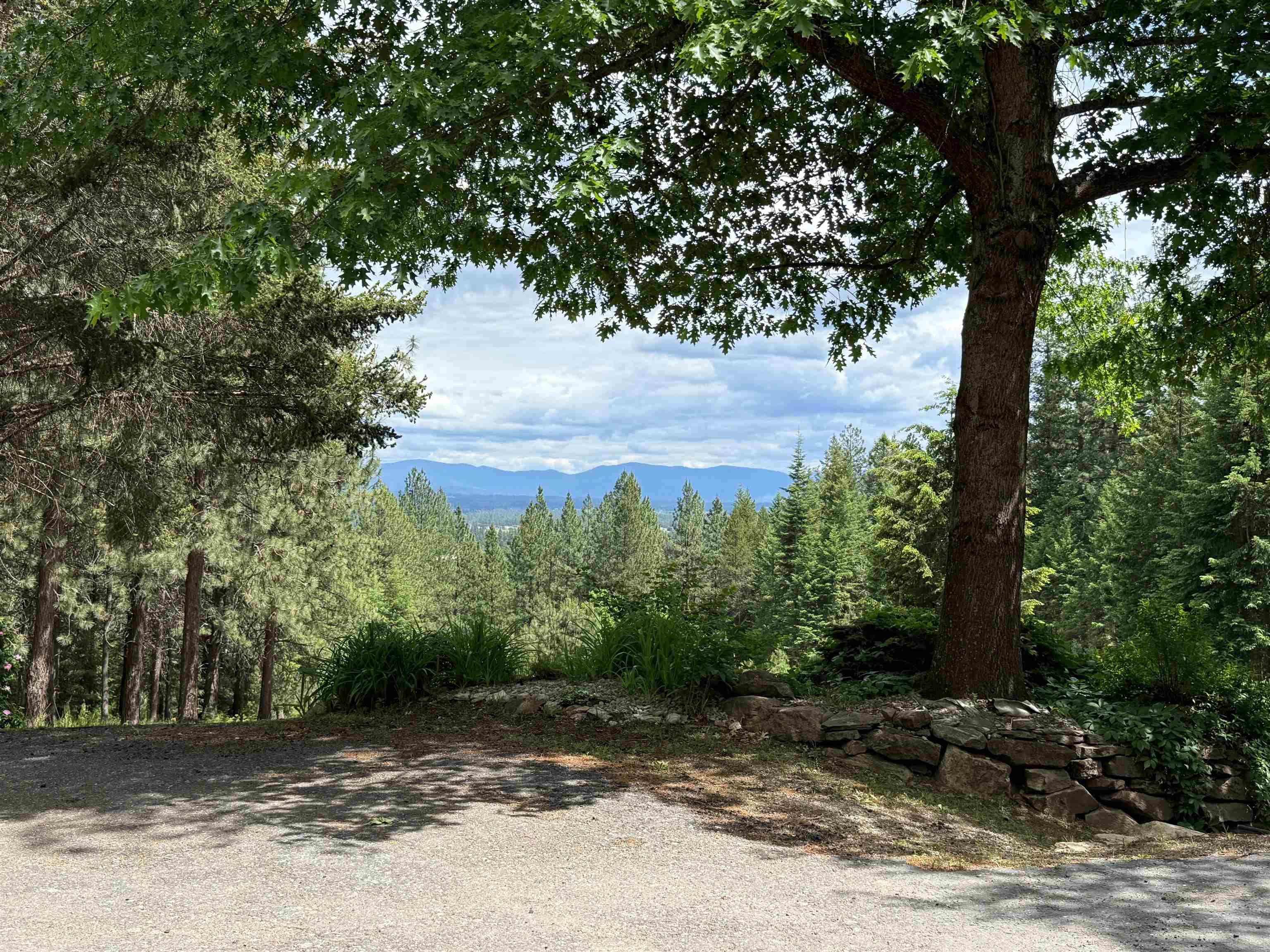 8766 West Barrett Drive Rathdrum, ID 83858 - Photo 4 of 44