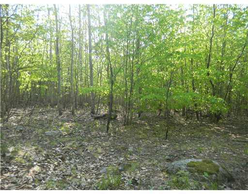 24 Gray Valley Road Guilford, ME 04443 - Photo 11 of 15 Land. Southern view potential