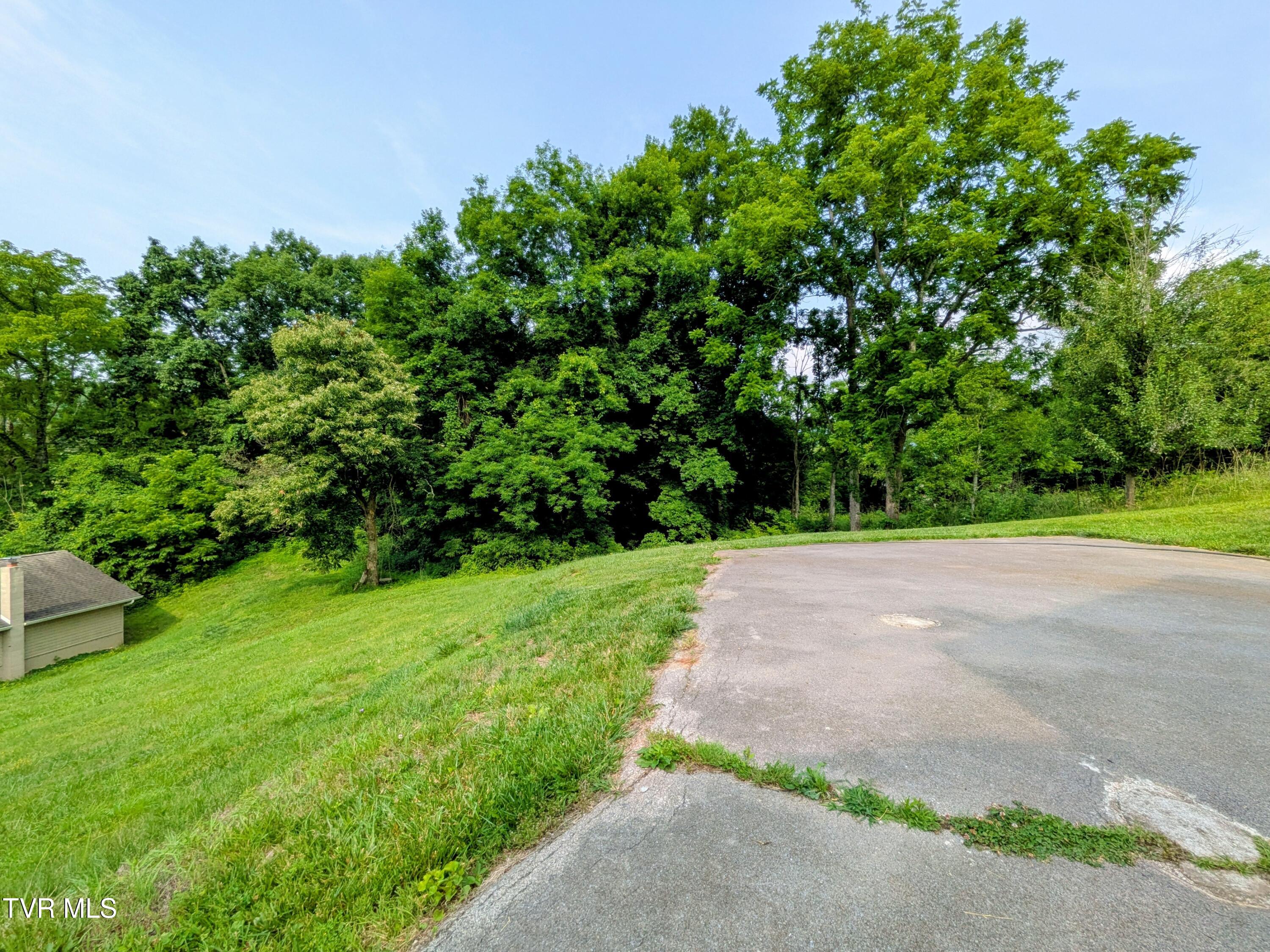 113 Nave Hollow Road Elizabethton, TN 37643 - Photo 85 of 91 Property(5)
