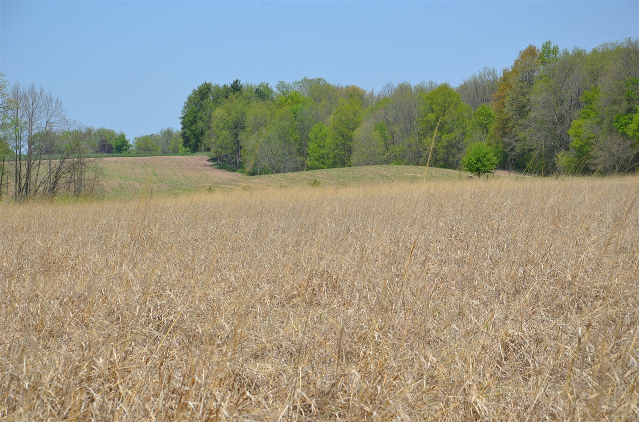 2255 River Road Hastings, MI 49058 - Photo 51 of 94