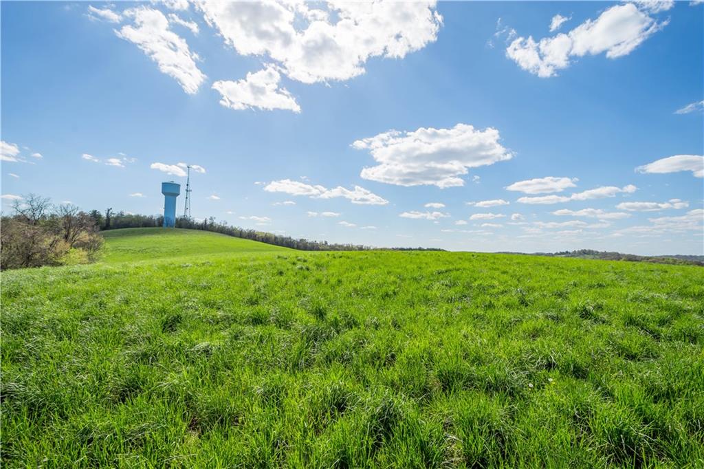 78 Fava Farm Road Scenery Hill, PA 15360 - Photo 3 of 25 Gallery Image 3