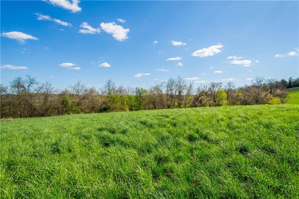 78 Fava Farm Road Scenery Hill, PA 15360 - Photo 4 of 25 Gallery Image 4