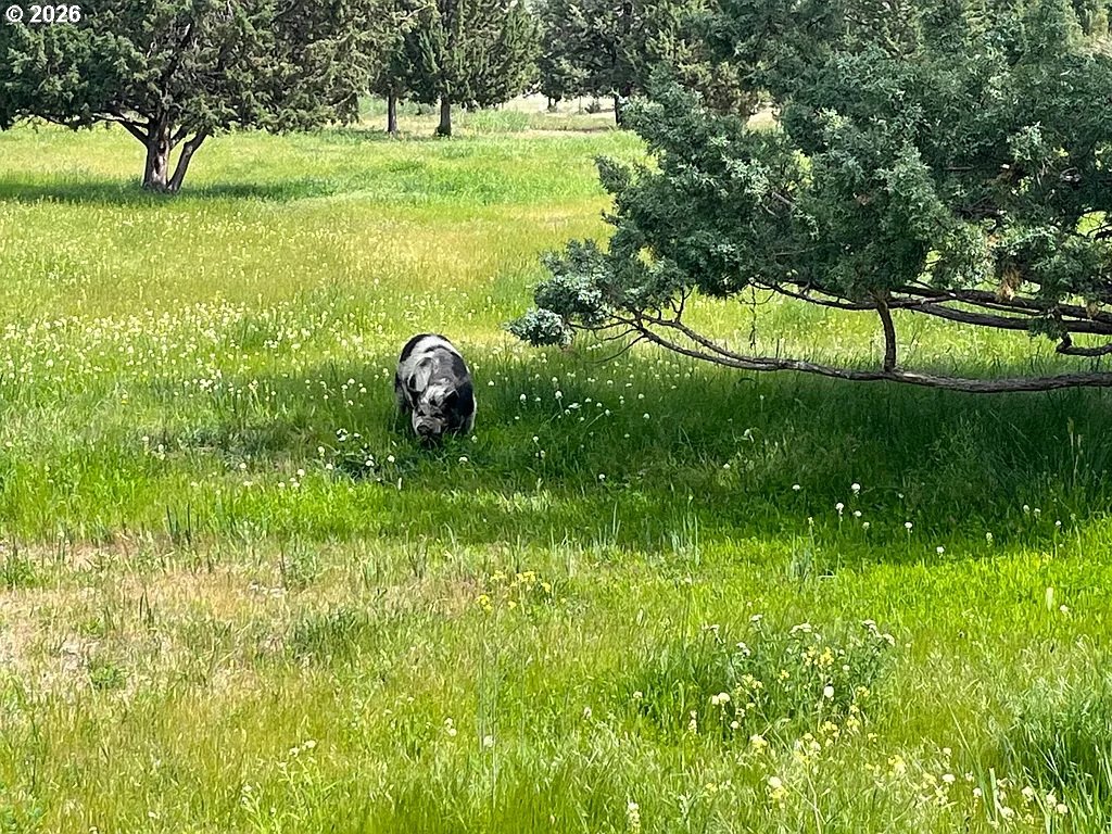 27847 Pine Creek Road John Day, OR 97845 - Photo 39 of 45