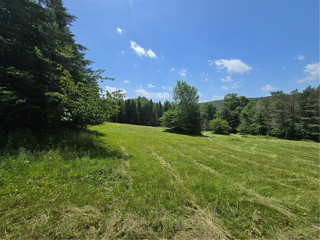 3074 State Road Andes, NY 13731 - Photo 11 of 22