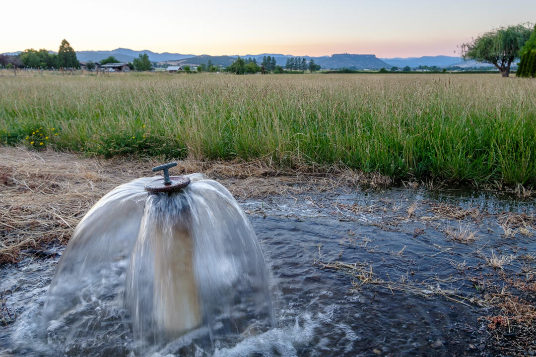3124 Taylor Road Central Point, OR 97502 - Photo 46 of 47 Irrigation