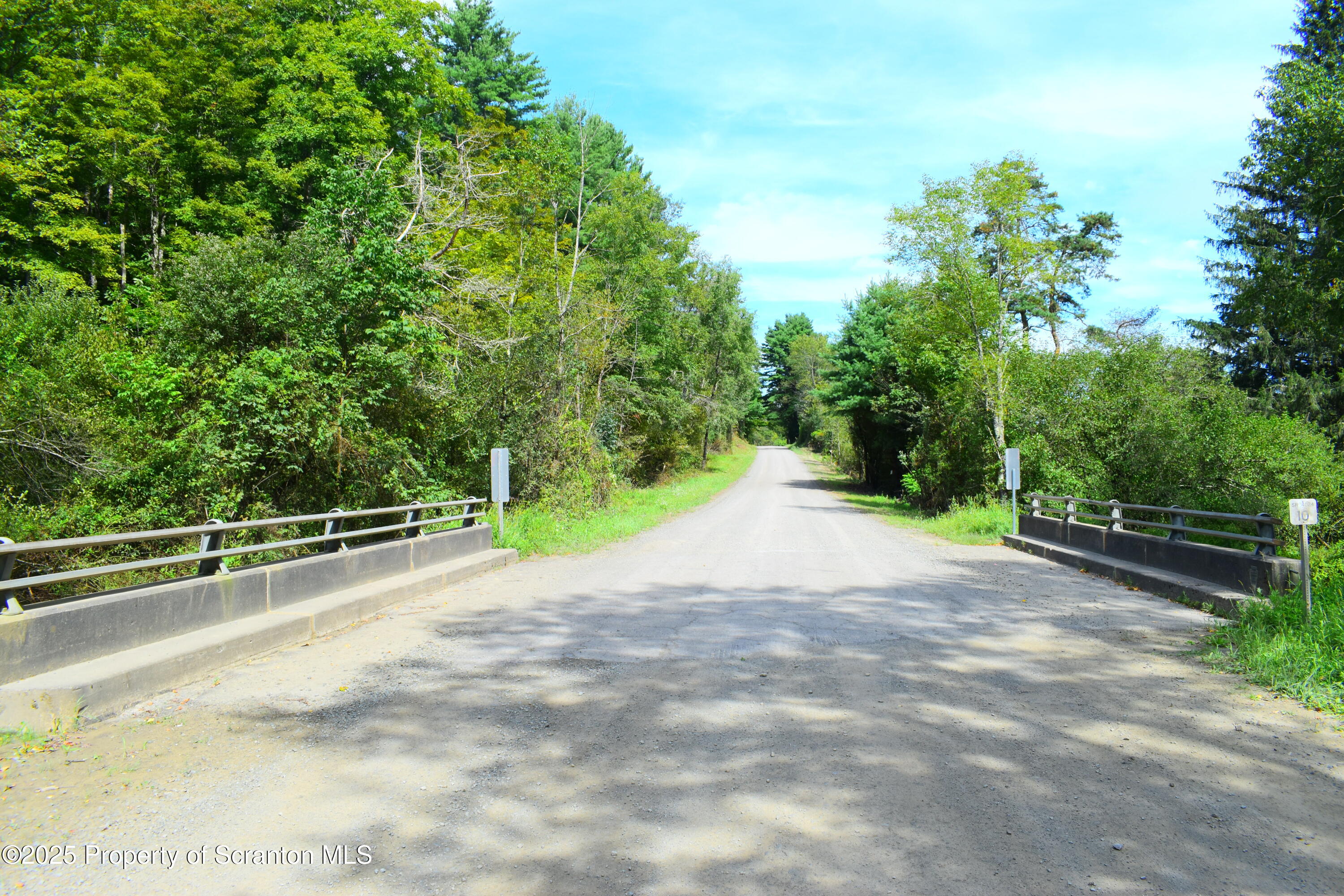 Jackson Valley Road Little Meadows, PA 18830 - Photo 2 of 6 a view of a yard with plants and trees