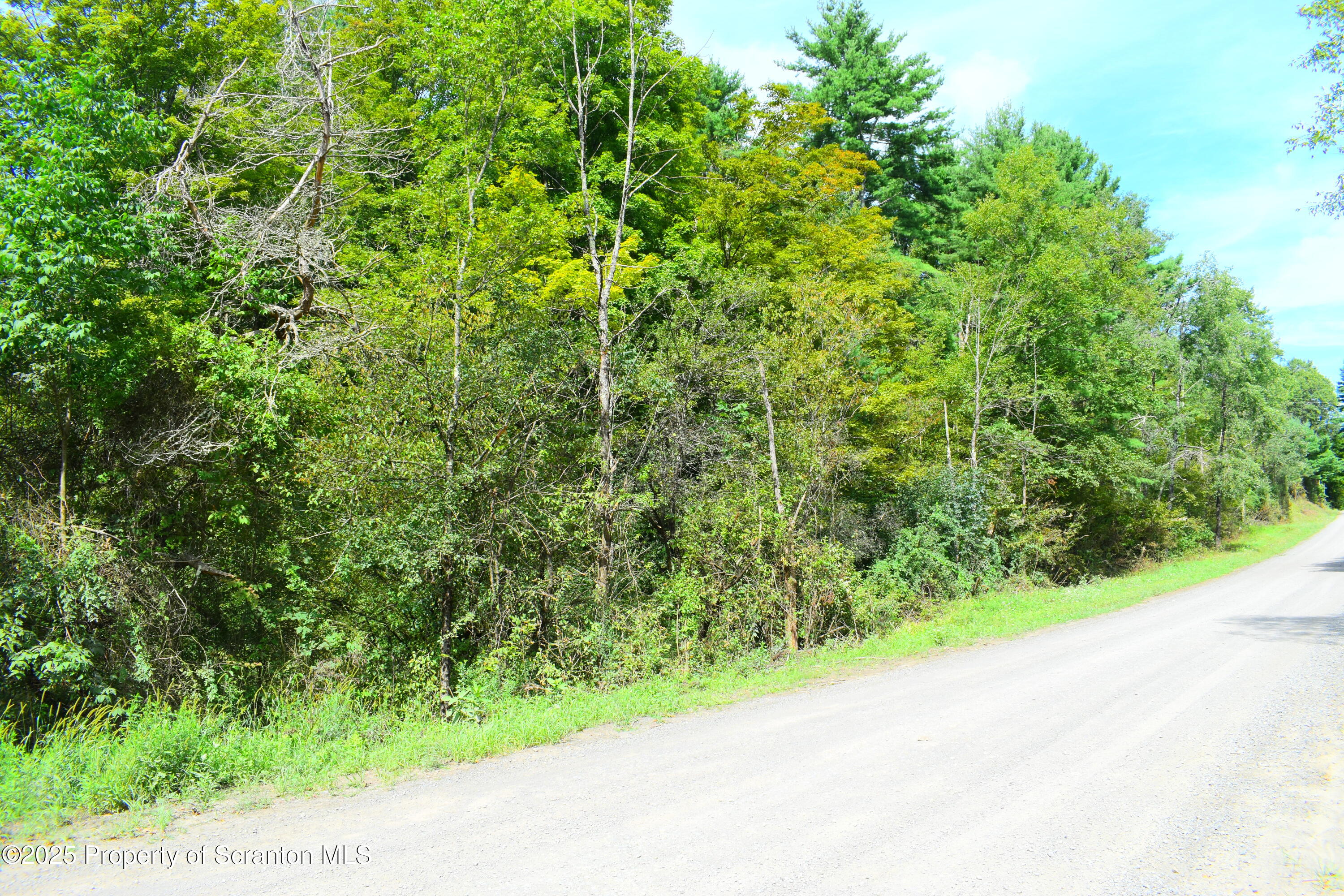 Jackson Valley Road Little Meadows, PA 18830 - Photo 3 of 6 a view of a garden