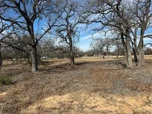 a view of dirt yard with a tree