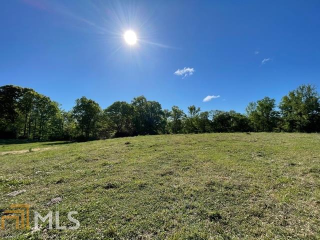 3584 Brownlee Road Forsyth, GA 31029 - Photo 1 of 1