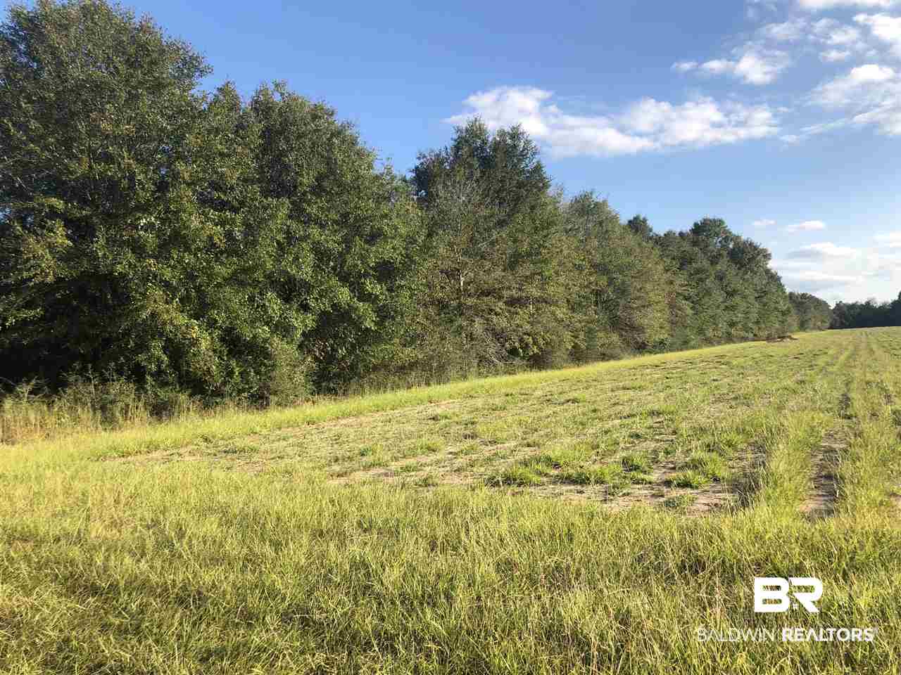 1-2 Hosea Gillman Road Milton, FL 32570 - Photo 5 of 10 Gallery Image 5