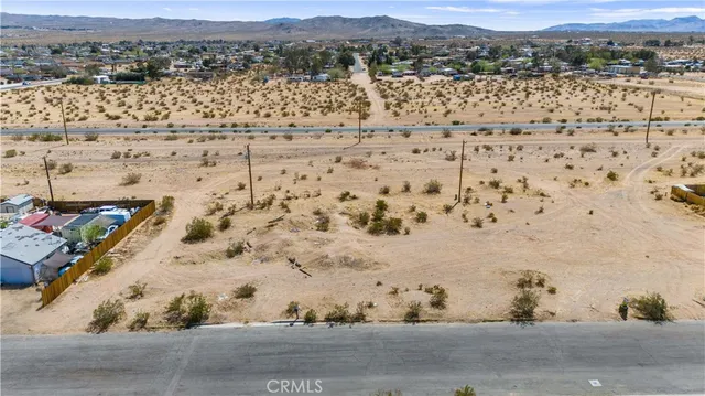 a black and white photo of a flower